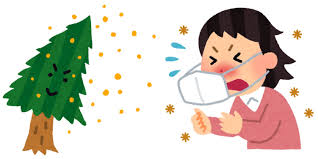 体の内側から整える花粉症対策！！　大津市　石山　石山東洋鍼灸整骨院