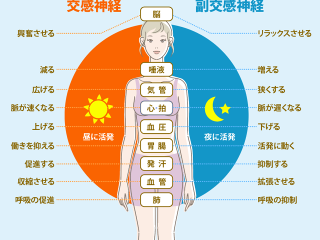 自律神経が乱れると何が起こる？　大津市石山東洋鍼灸整骨院